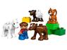Конструктор детский Duplo (Дупло) "Фермерский питомник" 5646