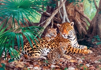 Пазл детский "Ягуары в джунглях" 3000 элементов